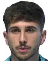 Vlad Prejmerean logo