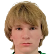 anikeev andreevich logo