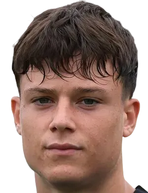 Mattheo Lavelli logo