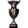 WE League Cup winner logo