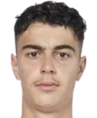 Aleksandar Pavlović logo