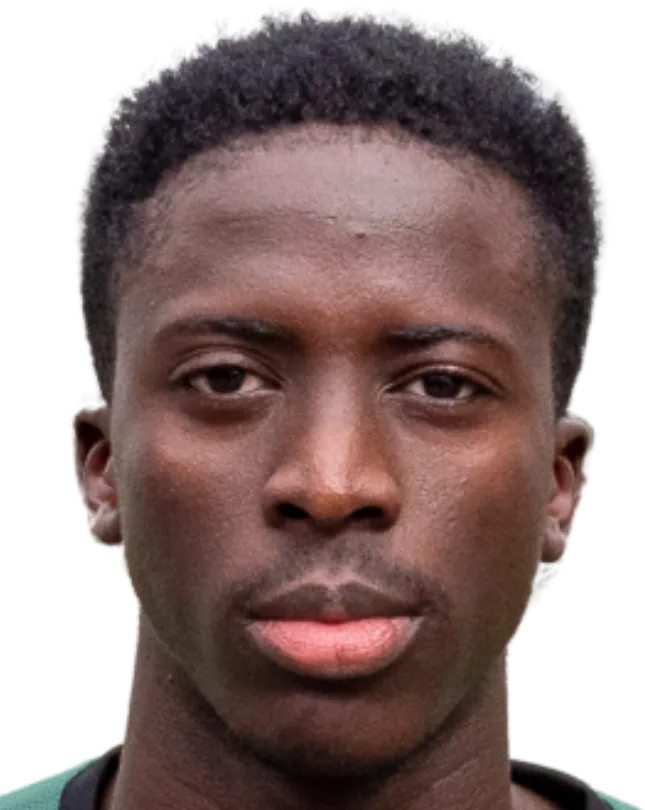 Panutche Camara logo