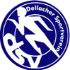 SV Dellach Gail logo