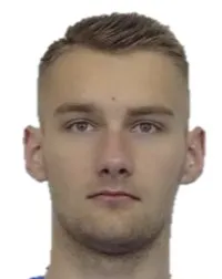 Nikita Kostomarov logo