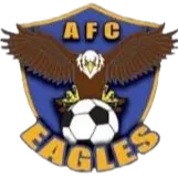 Academy Eagles FC logo