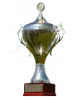 Saxony-Anhalt Cup winner logo