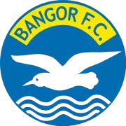 Bangor U20 logo