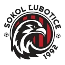 Sokol Lubotice U19 logo