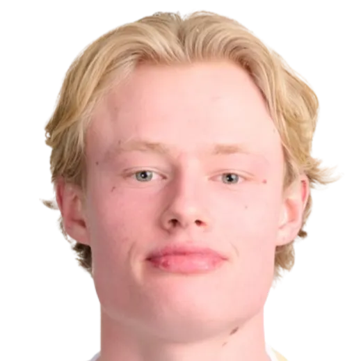 Tobias Solheim Dahl logo