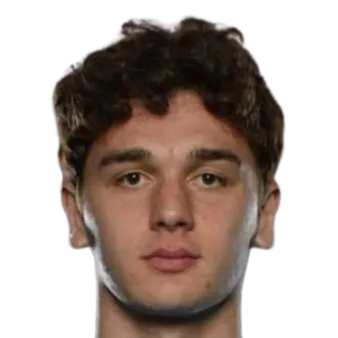 Nikoloz Ugrekhelidze logo