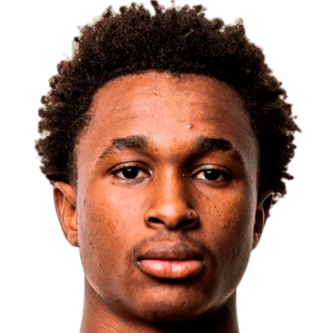 Diallo Sanoussi logo