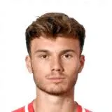 Dominik Schwizer logo