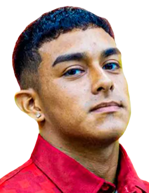 Victor Alfonso·Flores Ortiz de Villate photo 