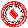 Lokomotivi Tbilisi U19 logo