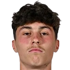 Viktor Džodić logo