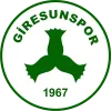 Giresunspor U19 logo