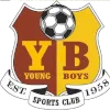 Mumbai Young Boys logo