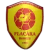 ACS Flacara Horezu logo