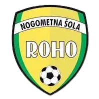 NS Roho Vbo logo