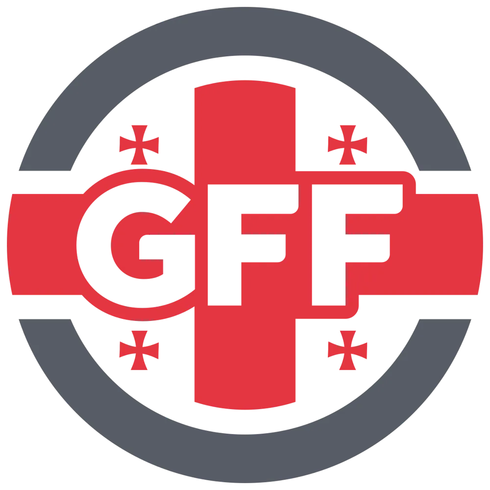 Georgia Erovnuli Liga 3 photo 