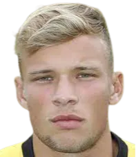 Sydney van Hooijdonk logo