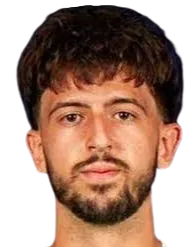 Nemanja Gavrić logo