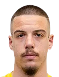 Plamen Georgiev Pepelyashev logo