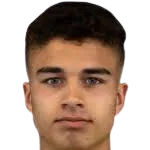 Henrik Langaas Skogvold logo