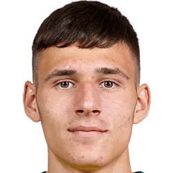 Gvidas Gineitis logo