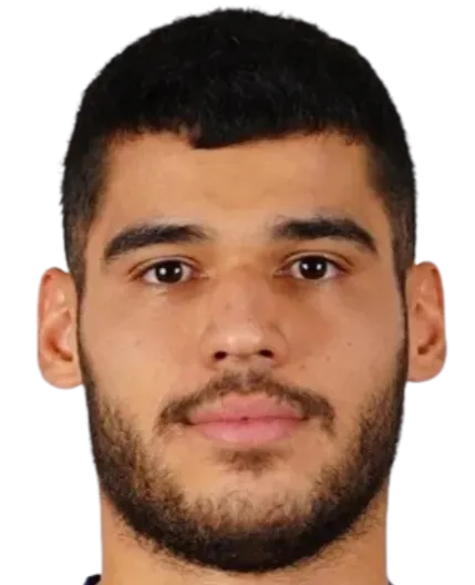 Mohammadmehdi Zare logo