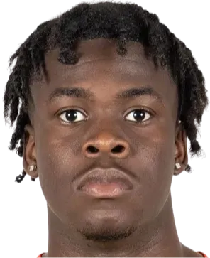 Emmanuel Johnson logo