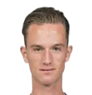 Sander van Looy logo