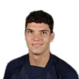 afonso leonardo logo