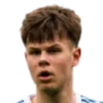 Igor Fabian Gosik logo