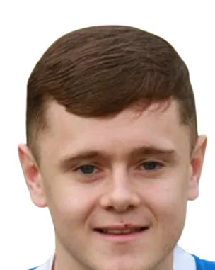 liam mcstravick logo