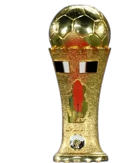 Qatari Cup Winner (Emir of Qatar Cup) logo
