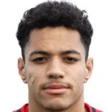 Gianluigi Sueva logo