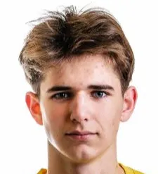 Nikita saranins logo