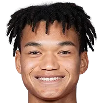 Nelson Ishiwatari logo