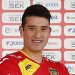 Fernando Cornejo logo