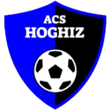 ACS Hoghiz logo