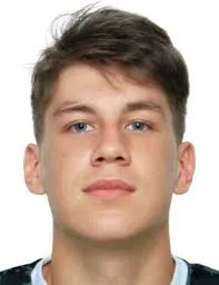 Linar sharifullin logo