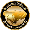 Young Elephants FC 2 logo