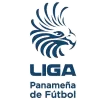 Panamanian Liga de Futbol photo 