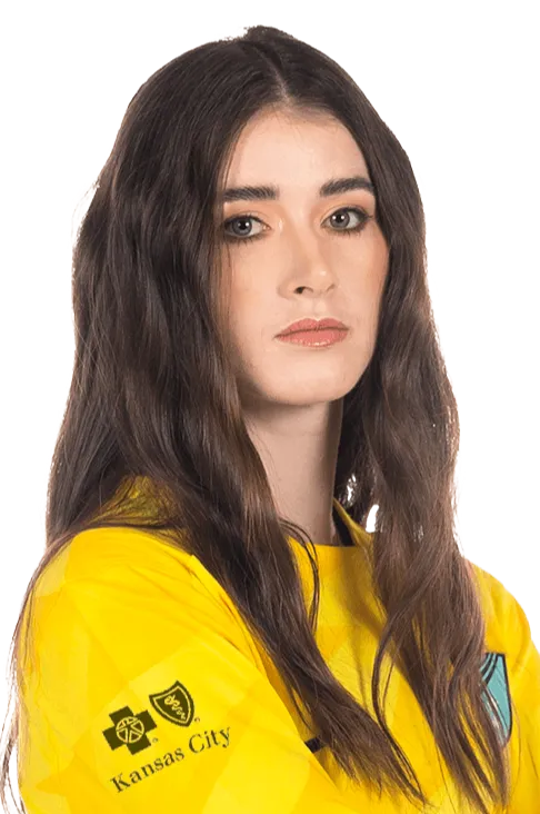 silkowitz jordan logo