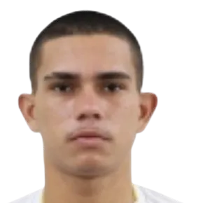 Pedro Gonçalves logo