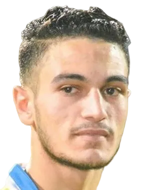 Wagih Abdel Hakim logo