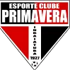 Primavera Youth logo
