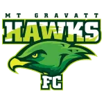 Mount Gravatt Hawks U23 logo