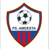 PS Amdesta logo